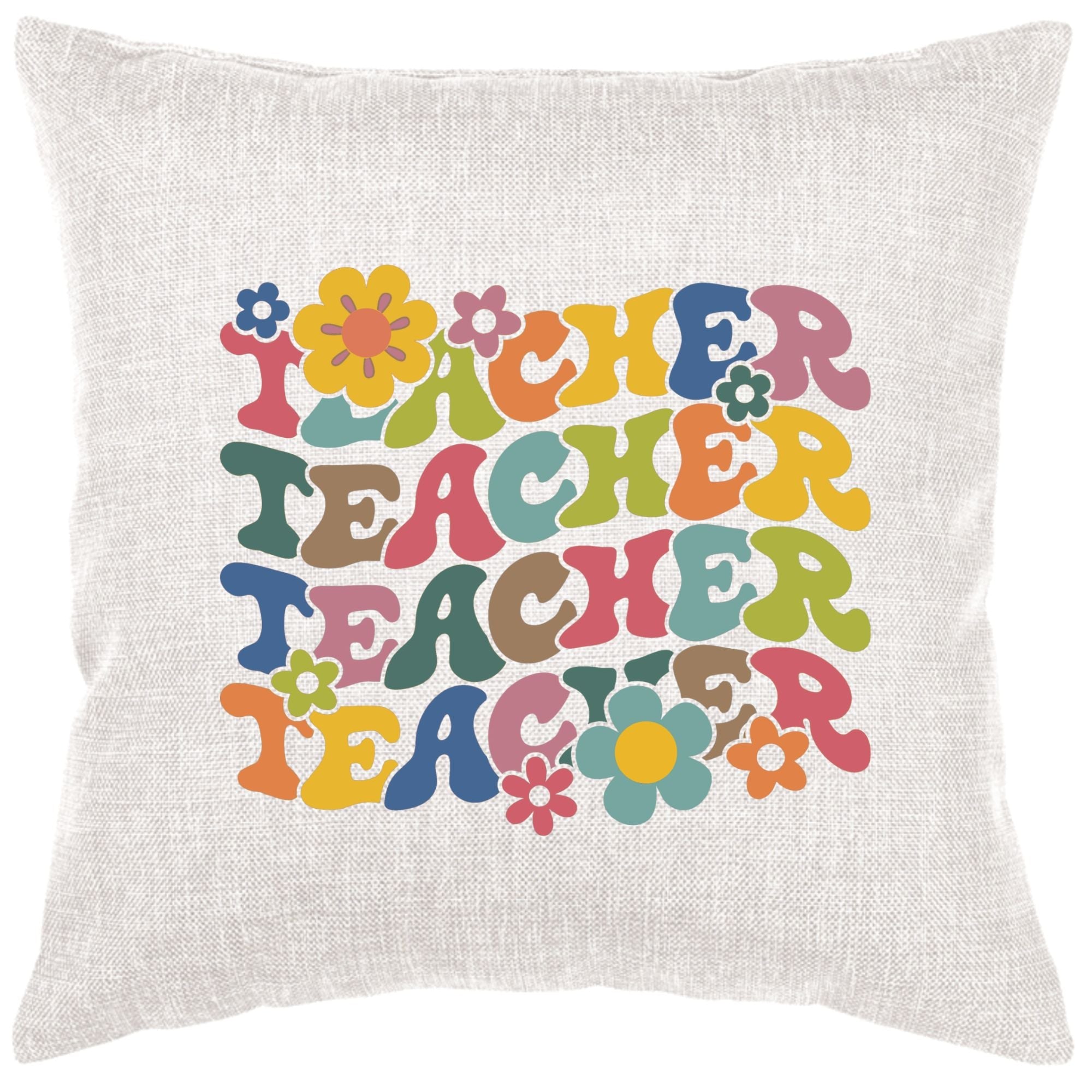 Retro Teacher Down Pillow