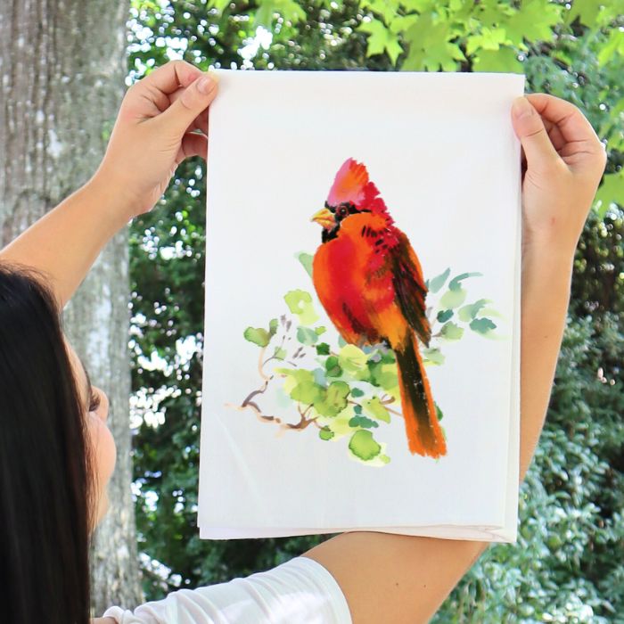 BIRDS